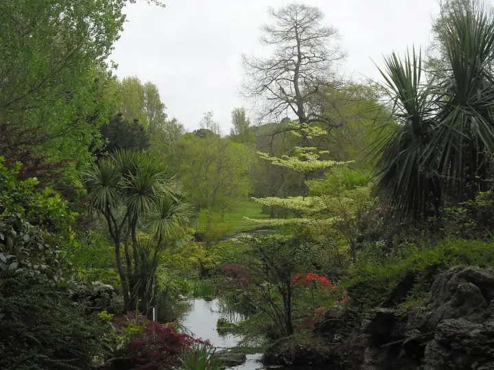 Jersey Samares Garden