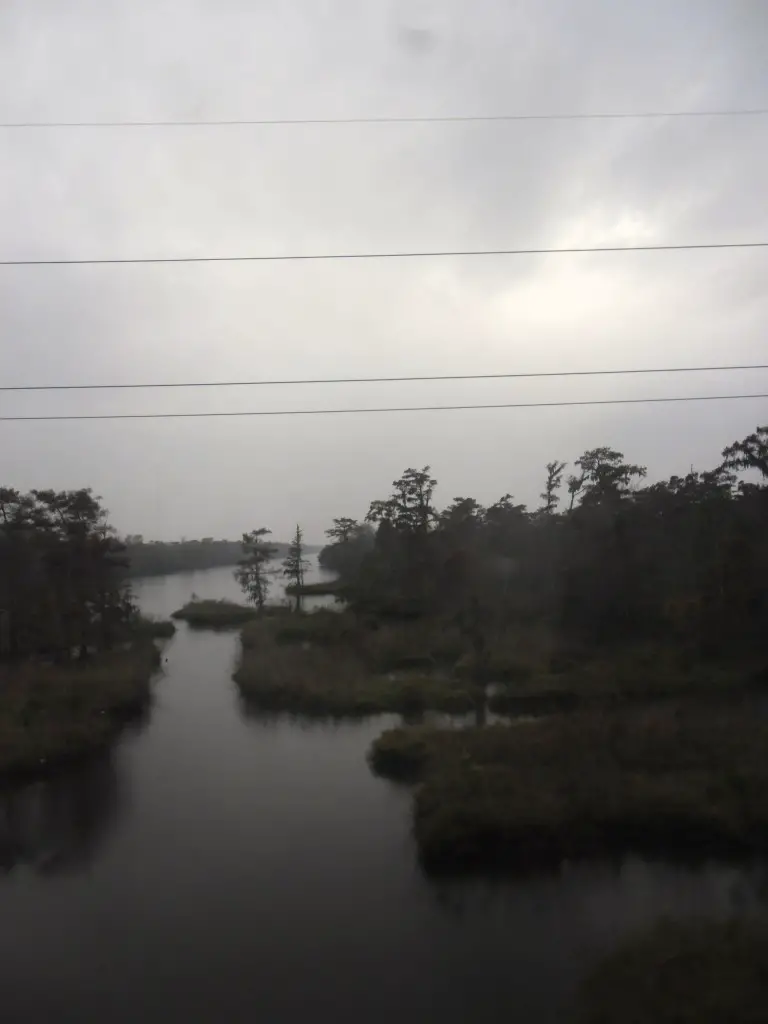 Louisiana Nola bayou
