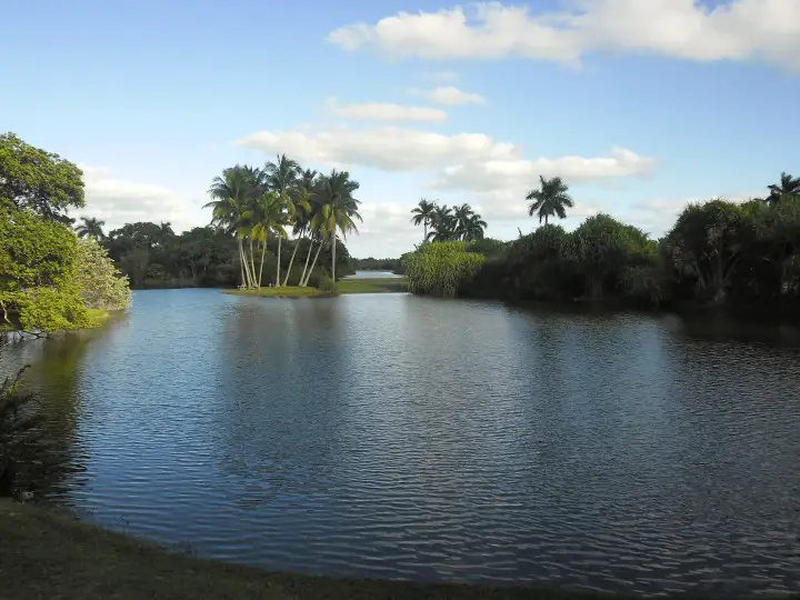 Fairchild tropical garden Miami