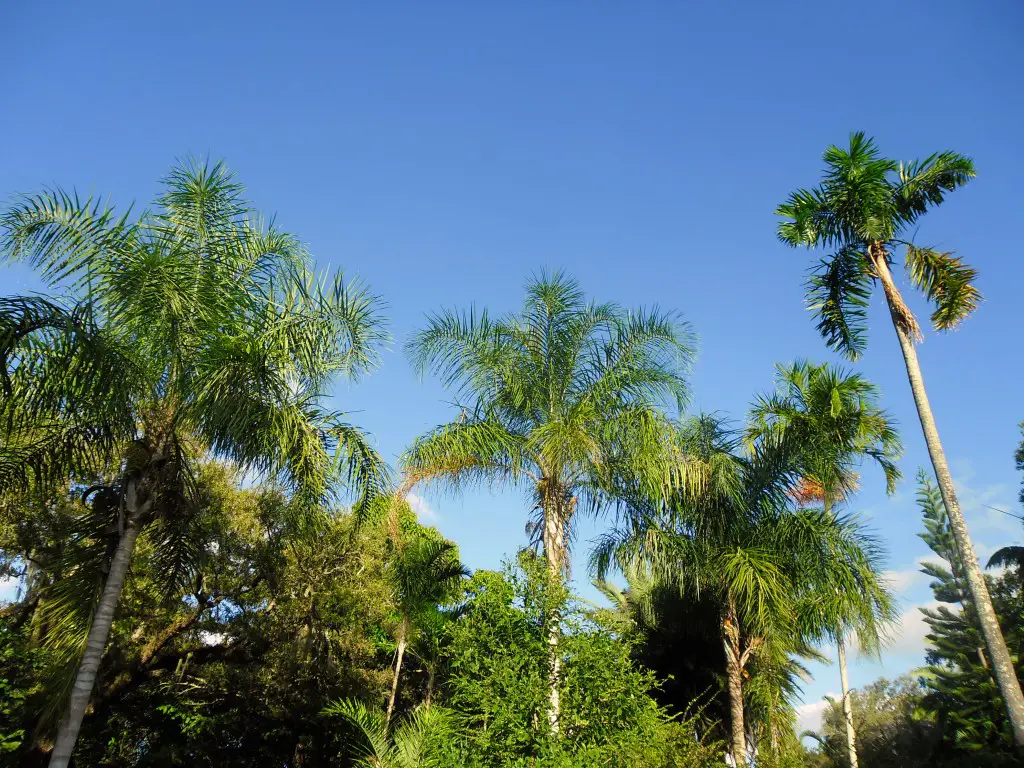 Fairchild tropical garden Miami