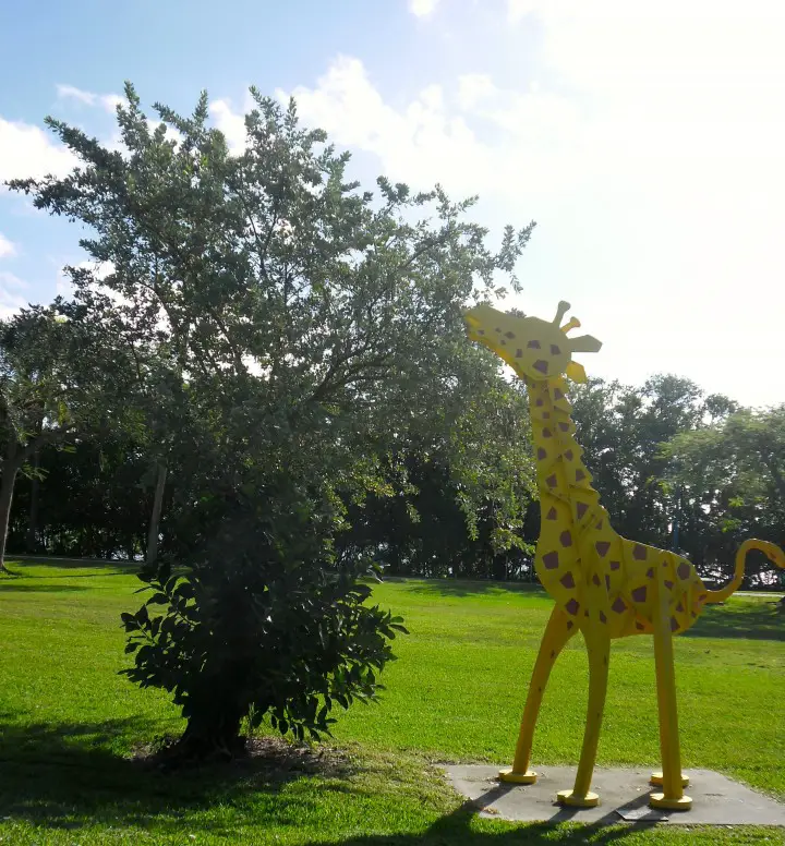 Giraffe Coral Gables Miami