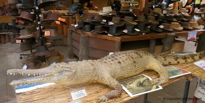 kuranda-market-crocodile