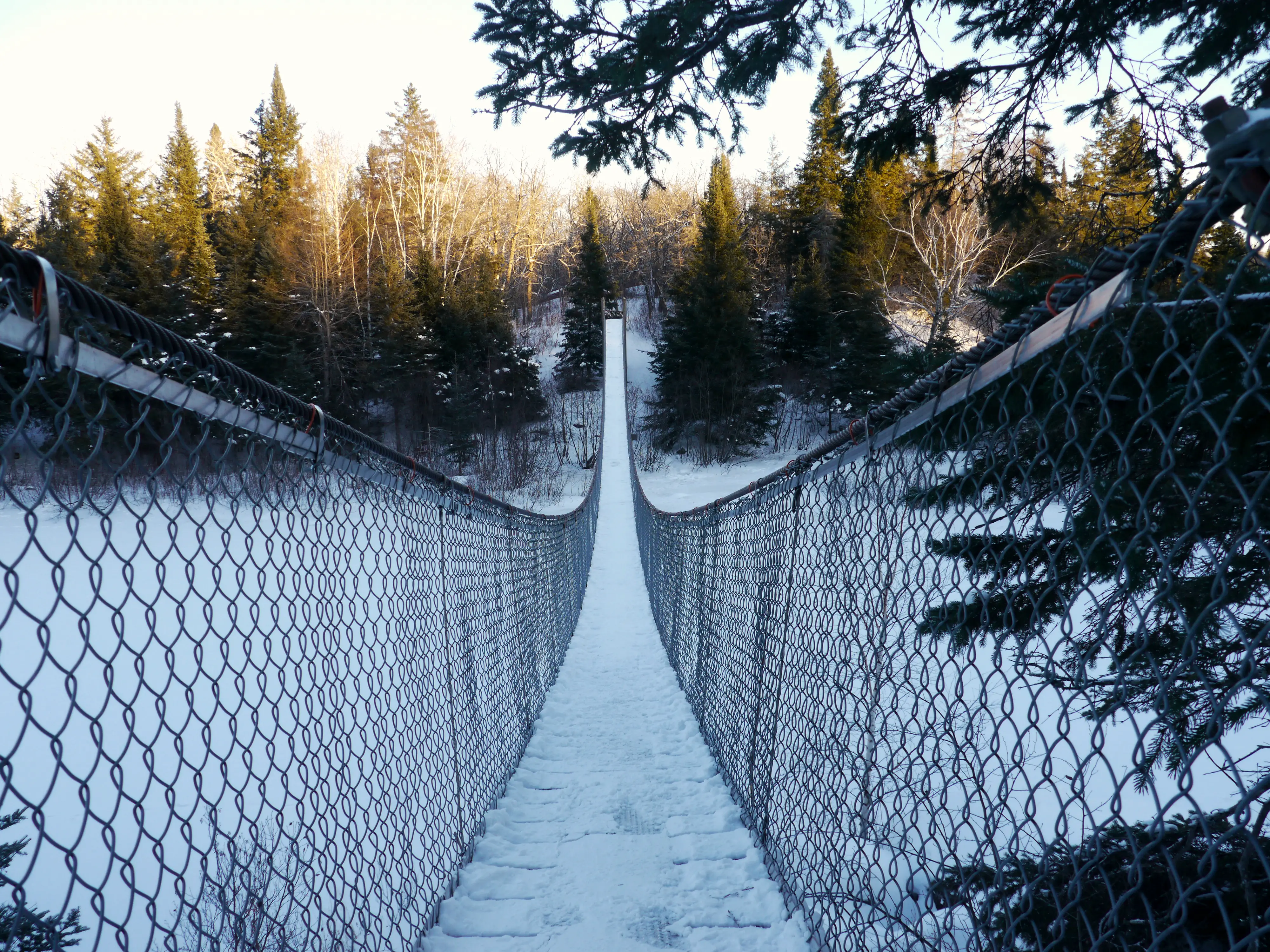 Pinawa suspended bridge winter