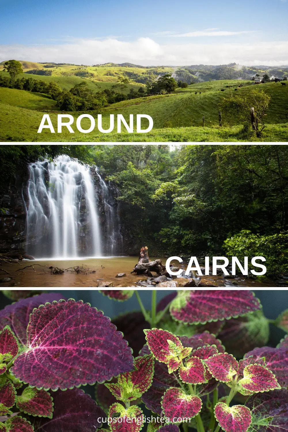 Around Cairns : Atherton Tablelands