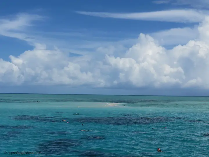 cairns-great-barrier-reef-snorkeling