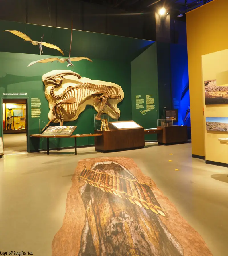 Manitoba Museum Paleontology