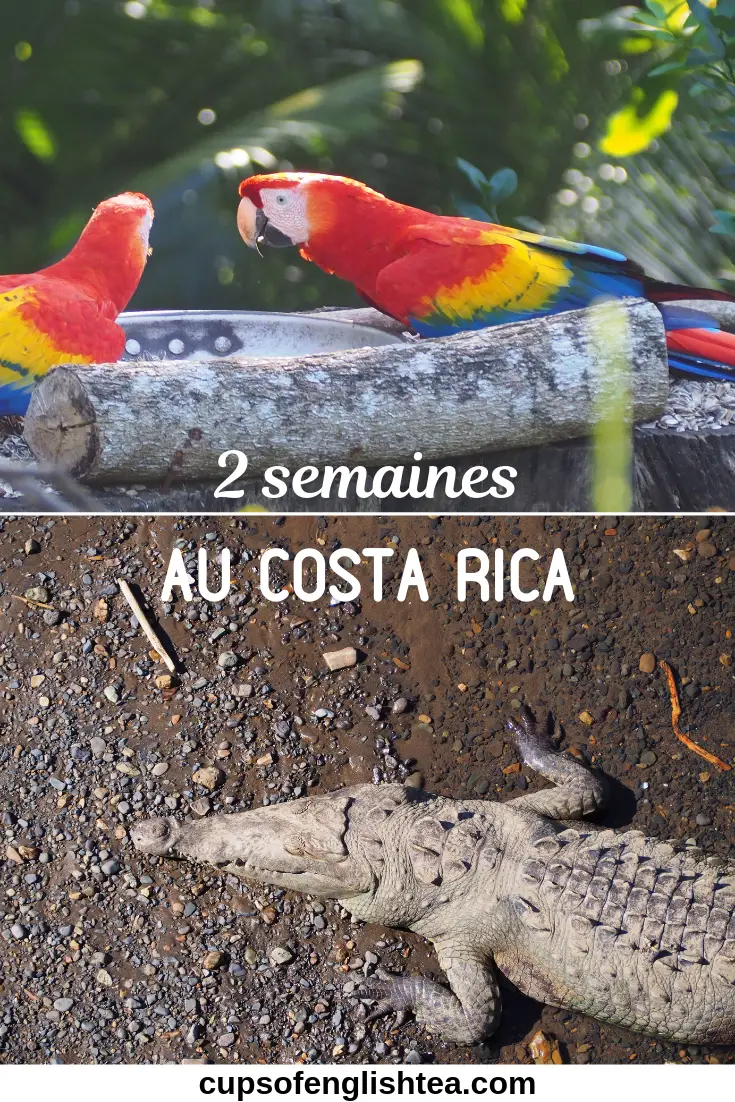 Itinéraire et conseils pratiques pour un voyage de 2 semaines au Costa Rica