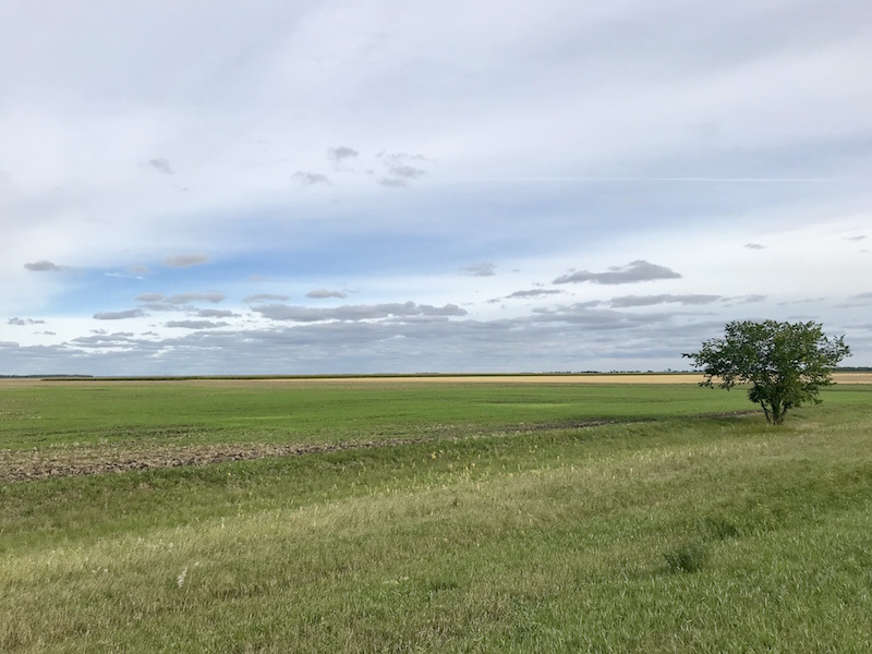 Manitoba countryside