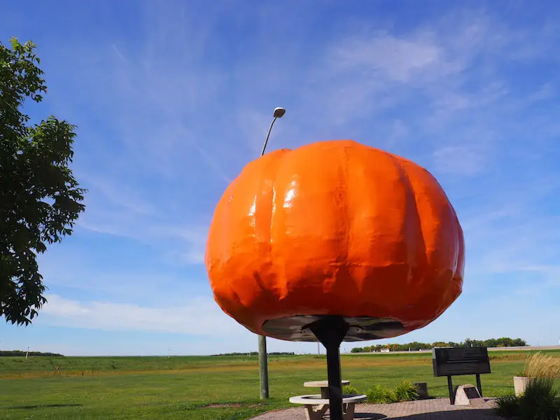 Roland Manitoba pumpkin