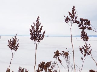 Frozen Lake Superior Thunder Bay