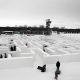 Winnipeg snow maze