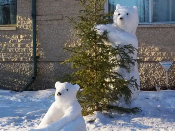 Winnipeg snow bears