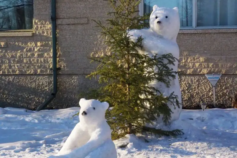Winnipeg snow bears
