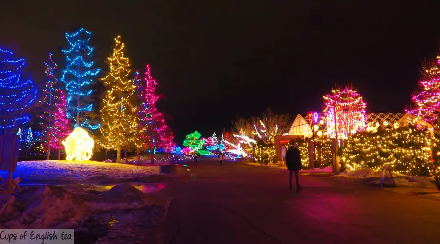 Zoo Lights Winnipeg